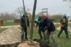 Корпоративная ответственность компании Water Delivery фото